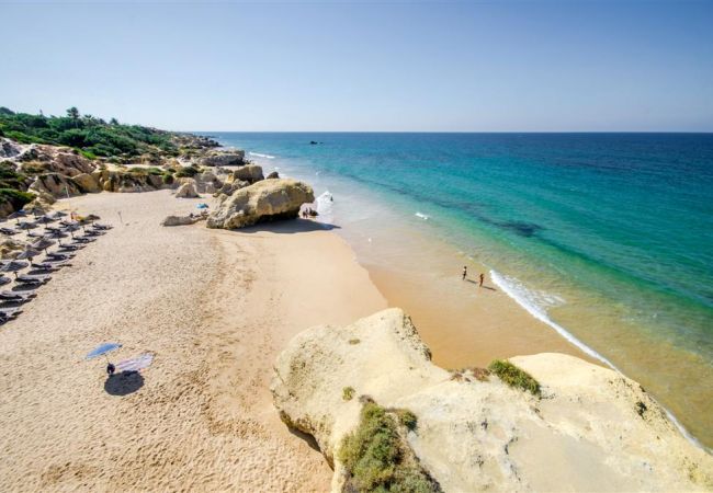 Ferienwohnung in Albufeira - Rosal D