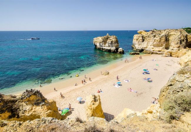 Apartamento em Albufeira - Rosal D Apartamento em Albufeira - Rosal D