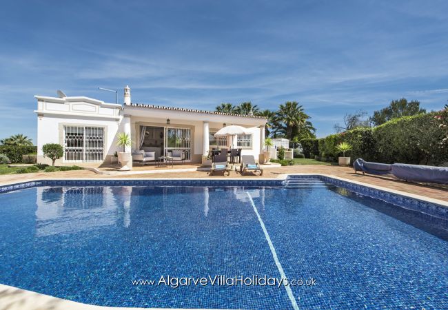 Villa em Guia - Casa Celina Villa em Guia - Casa Celina