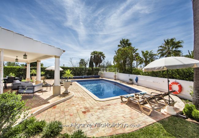 Villa em Guia - Casa Celina Villa em Guia - Casa Celina