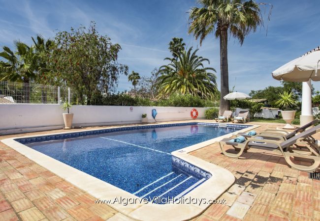 Villa em Guia - Casa Celina Villa em Guia - Casa Celina