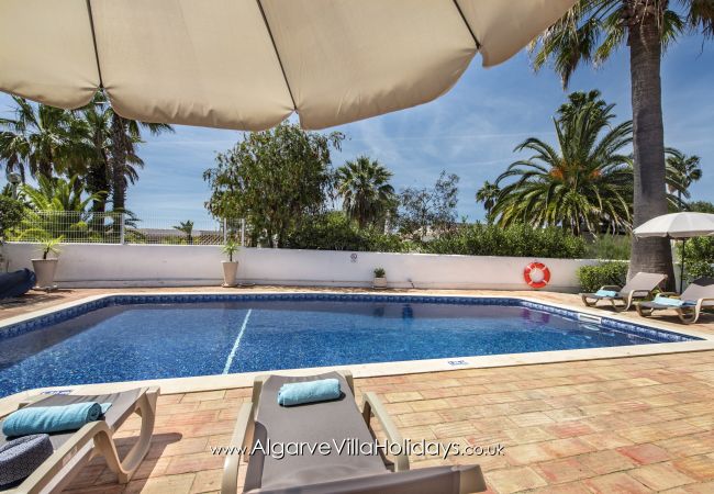 Villa em Guia - Casa Celina Villa em Guia - Casa Celina