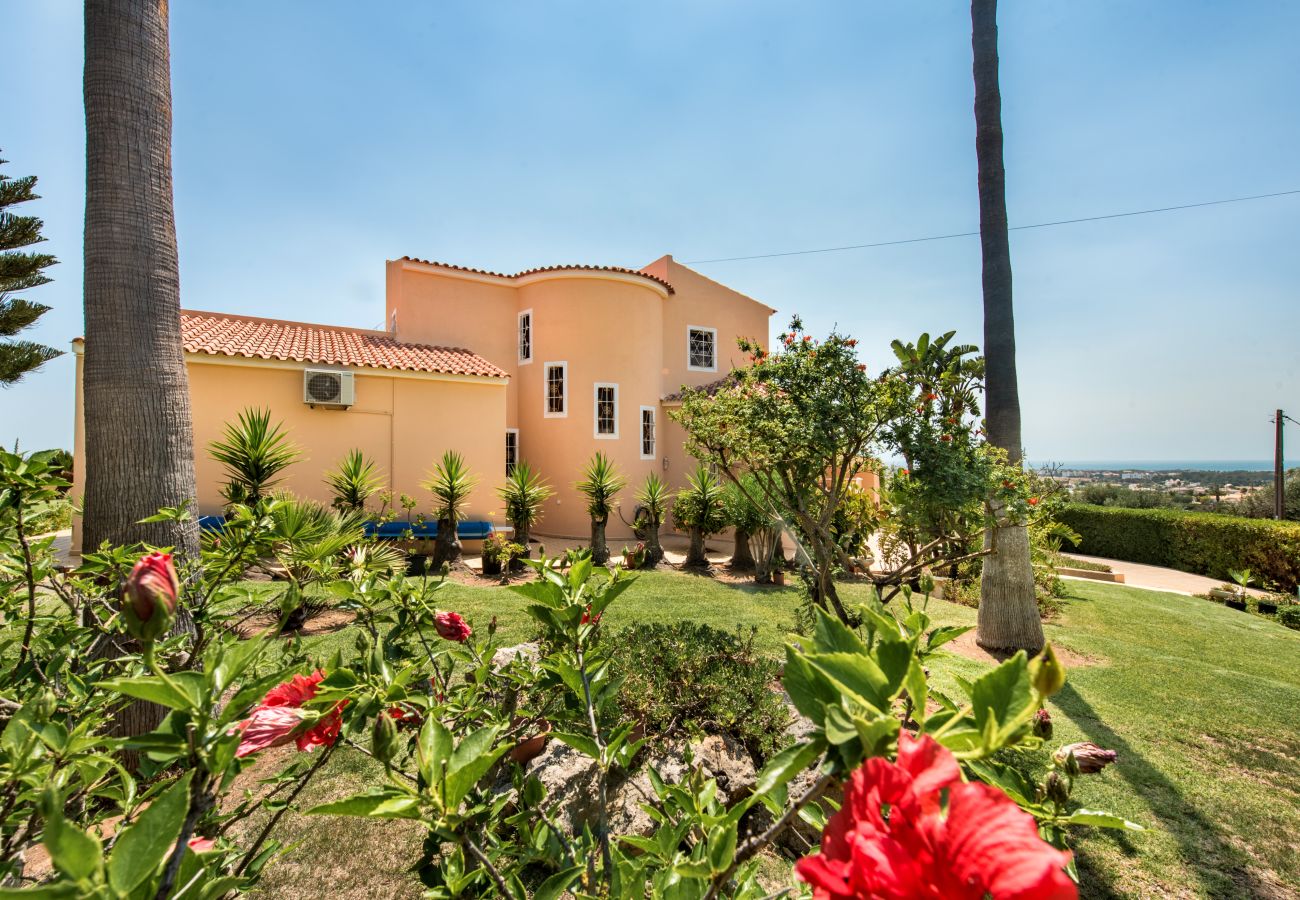Villa em Vale Rebelho - Villa Mirante