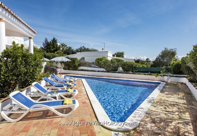 Villa in Guia - Buganvilia Villa in Guia - Buganvilia