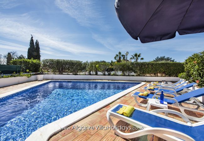 Villa in Guia - Buganvilia Villa in Guia - Buganvilia