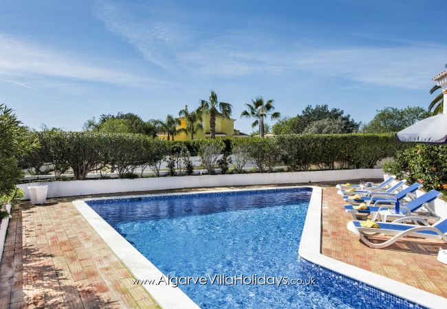 Villa in Guia - Buganvilia Villa in Guia - Buganvilia