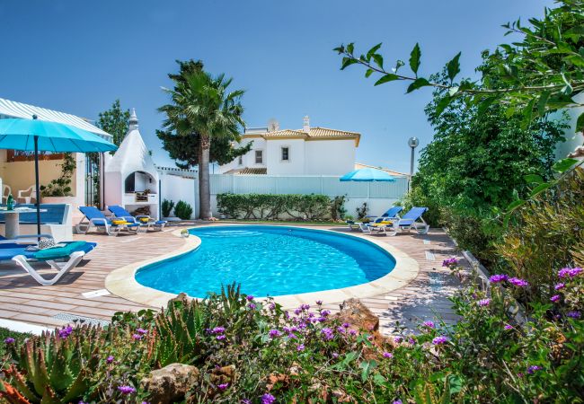 Villa in Sesmarias - Toad Hall Villa in Sesmarias - Toad Hall