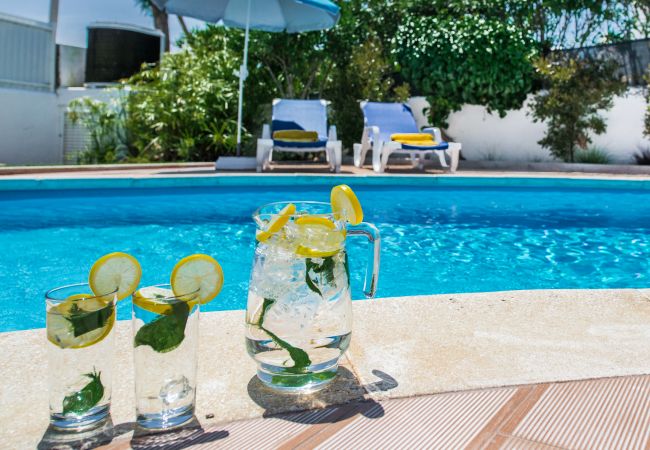 Villa in Sesmarias - Toad Hall Villa in Sesmarias - Toad Hall