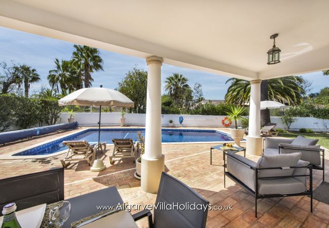 Villa in Guia - Casa Celina Villa in Guia - Casa Celina