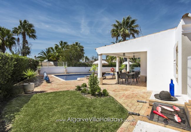 Villa in Guia - Casa Celina Villa in Guia - Casa Celina