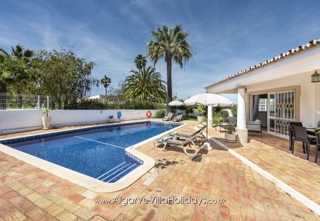 Villa in Guia - Casa Celina Villa in Guia - Casa Celina