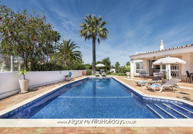 Villa in Guia - Casa Celina Villa in Guia - Casa Celina