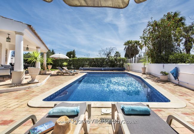 Villa in Guia - Casa Celina Villa in Guia - Casa Celina