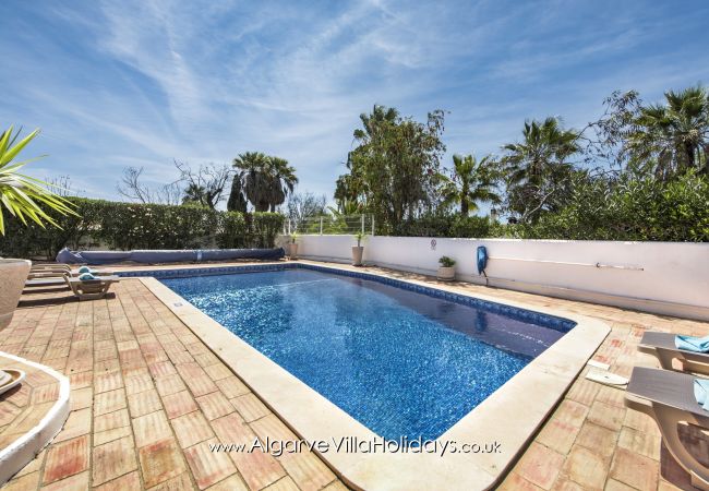 Villa in Guia - Casa Celina Villa in Guia - Casa Celina