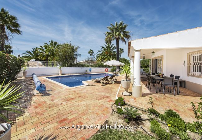 Villa in Guia - Casa Celina Villa in Guia - Casa Celina