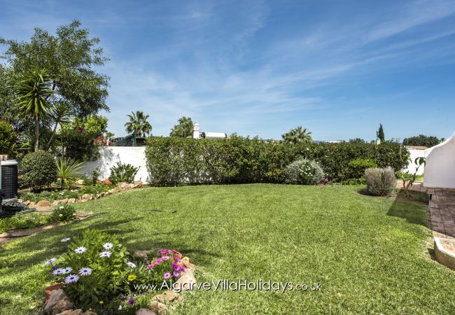 Villa in Guia - Casa Celina Villa in Guia - Casa Celina