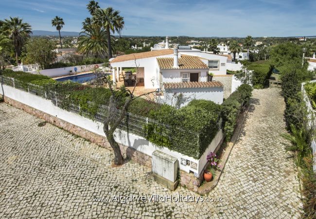 Villa in Guia - Casa Celina Villa in Guia - Casa Celina