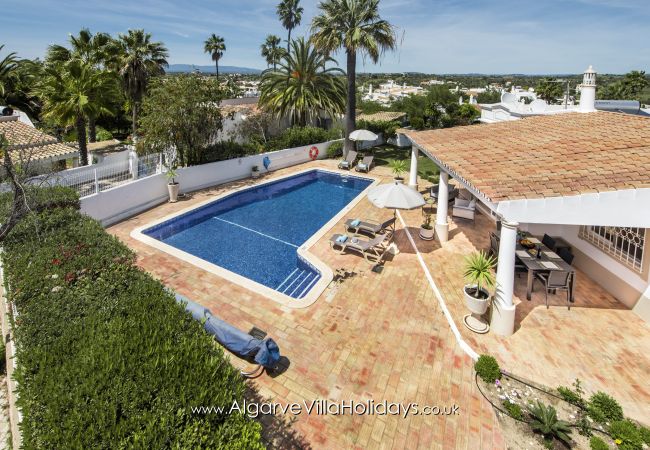 Villa in Guia - Casa Celina Villa in Guia - Casa Celina