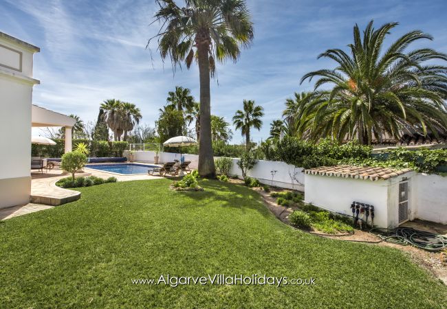 Villa in Guia - Casa Celina Villa in Guia - Casa Celina