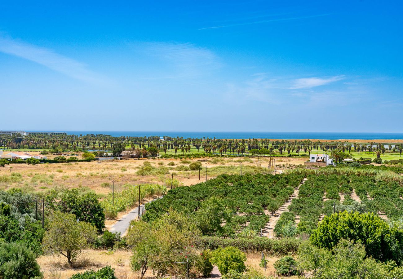 Villa in Albufeira - Villa Toriba